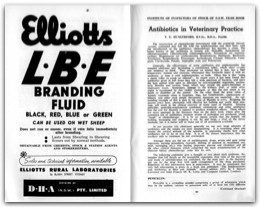 1954 Page 48 49